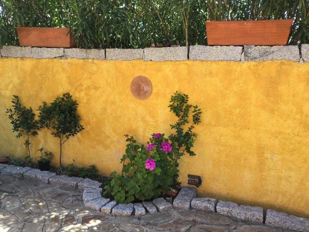 B&B Levante Posada Exterior photo